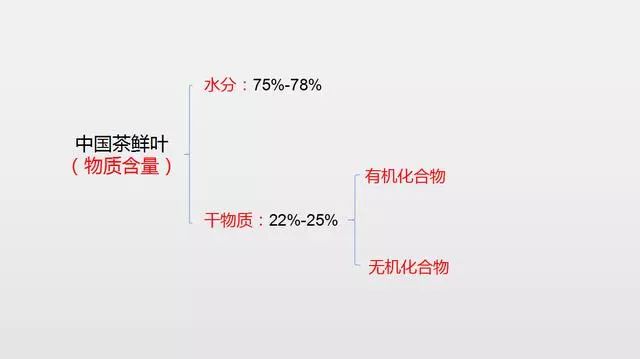 微信圖片_20200611113718.jpg