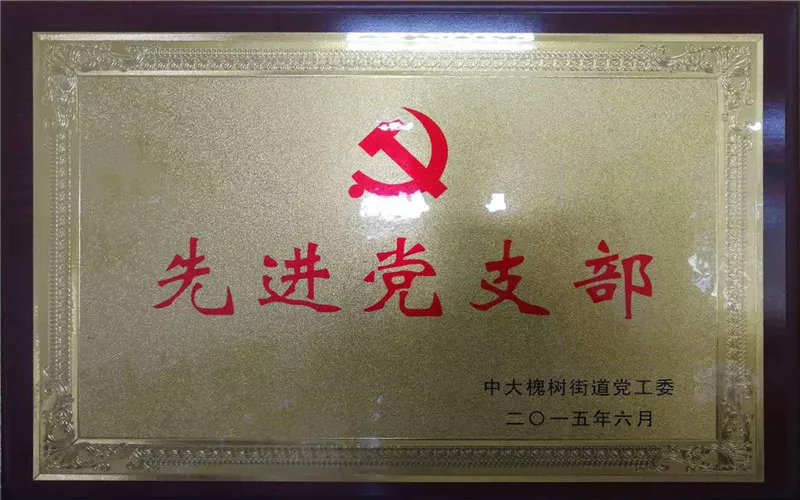2015先进党支部.jpg