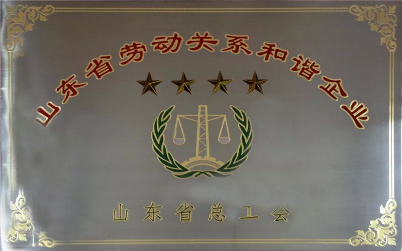 省劳动关系和谐企业.jpg